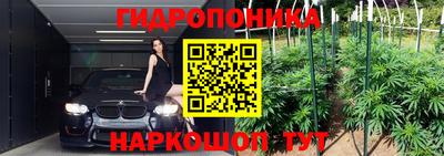 mdpv Камышлов