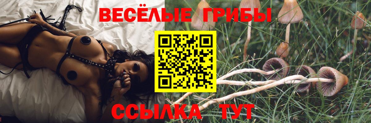 Янаул  Галлюциногенные грибы мицелий  Псилоцибиновые грибы Psilocybine cubensis  Вход с VPN 